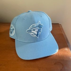 Toronto blue jays SnapBack hat